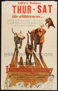 3e797 INCREDIBLE JOURNEY WC '63 Disney, art of Bull Terrier, Siamese cat & Labrador Retriever!