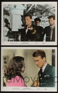 3f982 MAN WHO NEVER WAS 4 color 8x10 stills '56 Clifton Webb in the strangest hoax of WWII!