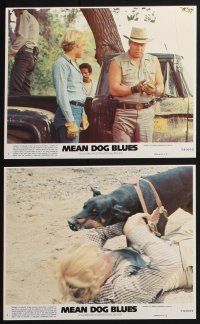 3f775 MEAN DOG BLUES 8 8x10 mini LCs '78 AIP, Kay Lenz, Gregg Henry, George Kennedy, Tina Louise
