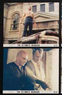 3f919 ULTIMATE WARRIOR 8 8x10 mini LCs '75 Yul Brynner, Max Von Sydow, a film of the future!