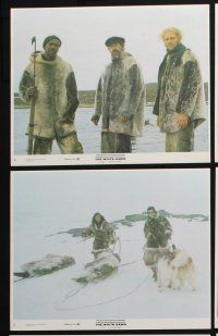 3f934 WHITE DAWN 8 8x10 mini LCs '74 Timothy Bottoms & native cast in Arctic adventure!