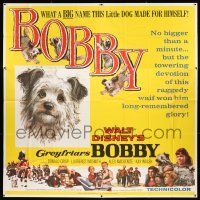 3g273 GREYFRIARS BOBBY 6sh '61 Walt Disney, huge close up art of cute tiny Skye Terrier!