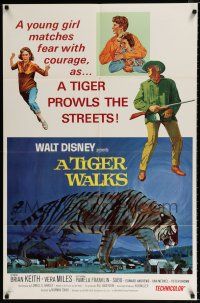 3k896 TIGER WALKS style A 1sh '64 Disney, artwork of giant tiger on the prowl!