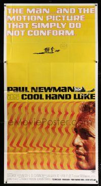3t111 COOL HAND LUKE 3sh '67 Paul Newman prison escape classic, cool art by James Bama!