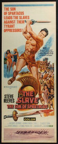 3w763 SLAVE insert '63 Il Figlio di Spartacus, art of Steve Reeves as the son of Spartacus!