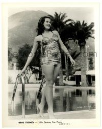 3y360 GENE TIERNEY 8x10.25 still '40s super young in sexy bathing suit standing by swimming pool!