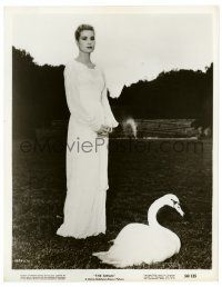3y901 SWAN 8x10.25 still '56 full-length beautiful Grace Kelly standing by swan in grass!