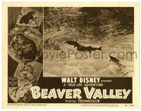 3z541 BEAVER VALLEY LC '50 Walt Disney's True Life outstanding short feature, animal art & images!