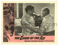3z081 CURSE OF THE FLY LC #7 '65 wacky image of man fighting monster, English sci-fi sequel!