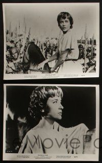4e656 AMAZONS OF ROME 5 8x10 stills '63 Sylvia Syms, they fought like 10,000 unchained tigers!