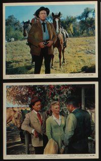 4e061 CATTLE KING 9 color 8x10 stills '63 western cowboy Robert Taylor, Joan Caulfield!