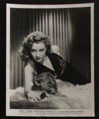 4e700 JULIE BISHOP 5 8x10 stills '40s great portraits of the star in lingerie, one with baby lion!