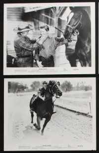 4e510 RACING BLOOD 8 8x10 stills '54 great images of jockey Jimmy Boyd, horse racing!