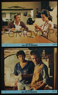 4e236 RED SKY AT MORNING 4 8x10 mini LCs '71 Richard Thomas loves Catherine Burns, a story for young