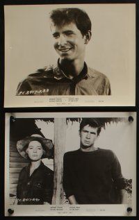 4e519 THIS ANGRY AGE 8 8x10 stills '58 great images of Anthony Perkins & sexy Silvana Mangano!