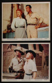 4e028 VALLEY OF THE KINGS 12 color 8x10 stills '54 great images of Robert Taylor & Eleanor Parker!