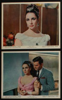 4e025 V.I.P.S 12 color 8x10 stills '63 great images of sexy Elizabeth Taylor & Richard Burton!
