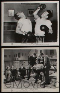 4e828 WHIPLASH 4 8x10.25 stills '49 great images of boxer Dane Clark, Alexis Smith!