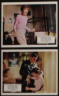 4e066 WAIT UNTIL DARK 9 color English FOH LCs '68 blind Audrey Hepburn, who is terrorized by Arkin!