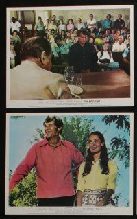 4e176 WALKING TALL 8 color English FOH LCs '73 Joe Don Baker as Buford Pusser, classic!
