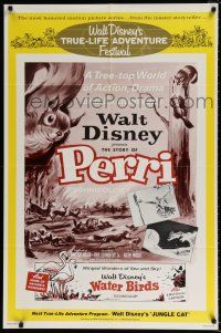 4f643 PERRI/WATER BIRDS 1sh '64 Disney squirrel adventure + winged wonders of the sea & sky!
