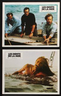 4g314 JAWS 9 French LCs '75 Steven Spielberg, great shark images, Scheider, Shaw, Dreyfuss