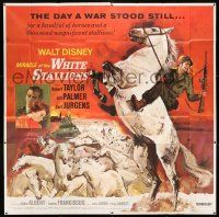 4j225 MIRACLE OF THE WHITE STALLIONS 6sh '63 Walt Disney, Lipizzaner stallions & soldiers art!