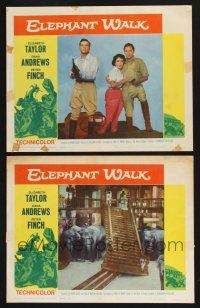 4k928 ELEPHANT WALK 2 LCs R60 romantic images of Elizabeth Taylor w/ Dana Andrews and Peter Finch!