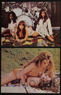 4k521 BEYOND THE VALLEY OF THE DOLLS 7 color 10.5x14 stills '70 Russ Meyer, Erica Gavin, Myers, Read