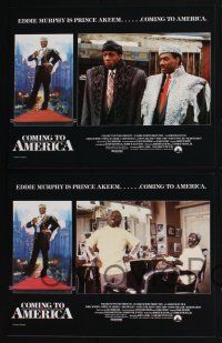 4k154 COMING TO AMERICA 8 English LCs '88 great art of African Prince Eddie Murphy by Drew Struzan!