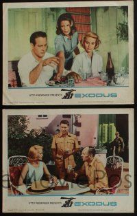 4k195 EXODUS 8 LCs '61 Otto Preminger, Paul Newman, Eva Marie Saint, Sal Mineo, Jill Haworth!