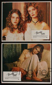 4k386 PRETTY BABY 8 LCs '78 directed by Louis Malle, young Brooke Shields, Susan Sarandon!