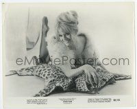 4m198 CAROL WHITE 8x10.25 still '68 the sexy blonde English actress on leopardskin rug in Poor Cow!