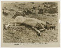 4m422 HOUND OF THE BASKERVILLES 8x10.25 still '31 full-length image of the deceased title dog!