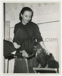 4m682 PIPER LAURIE deluxe 8x10 still '57 without makeup sitting w/her poodle making Until They Sail