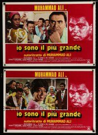 4p485 GREATEST set of 5 Italian photobustas '77 heavyweight boxing champ Muhammad Ali!