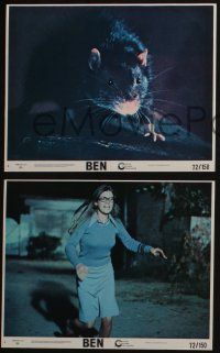 4x986 BEN 3 8x10 mini LCs '72 Willard 2, great images of Lee Montgomery, best rat close up!