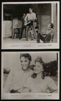 4x251 LOVE ME TENDER 8 8x10 stills '56 1st Elvis Presley, great images with Debra Paget & Egan!