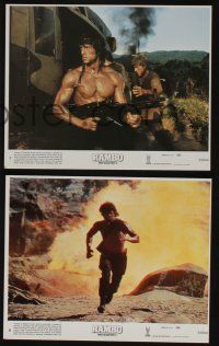 4x876 RAMBO FIRST BLOOD PART II 8 8x10 mini LCs '85 images of Sylvester Stallone by Dave Friedman!