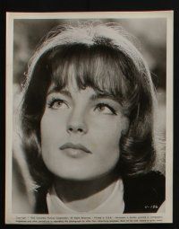4x262 ROMY SCHNEIDER 8 8x10 stills '60s great sexy full-length & close-up images!