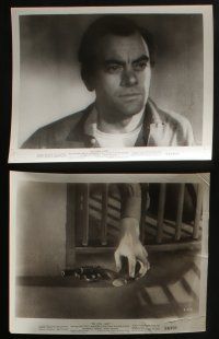 4x202 STEEL CAGE 9 8x10 stills '54 Paul Kelly is a criminal inside San Quentin prison, Ireland!