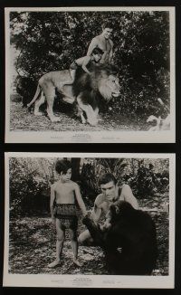 4x385 TARZAN & THE VALLEY OF GOLD 6 8x10 stills '66 cool jungle action images of Mike Henry!