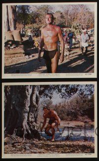 4x982 TARZAN GOES TO INDIA 4 color 8x10 stills '62 Jock Mahoney as the King of the Jungle!