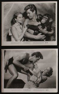4x386 TARZAN'S HIDDEN JUNGLE 6 8x10 stills '55 Vera Miles with Gordon Scott & Zippy the chimp!