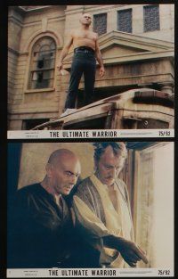 4x938 ULTIMATE WARRIOR 8 8x10 mini LCs '75 Yul Brynner, Max Von Sydow, a film of the future!