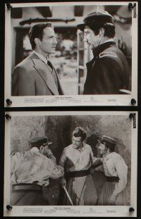 4x333 WAY OF A GAUCHO 7 8x10 stills '52 great images of Rory Calhoun, Jacques Tourneur!