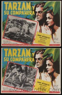 4y172 TARZAN & HIS MATE 2 Mexican LCs R50s Johnny Weissmuller & sexy Maureen O'Sullivan + cool art!