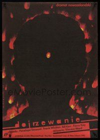 5b255 VIGIL Polish 19x27 '88 cool Walkuski art of silhouette & many small fires!