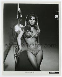 5d750 RAQUEL WELCH 8x10 still '60s sexiest portrait wearing only her underwear by set light!