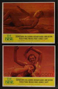 5g890 BIBLE 2 LCs '67 John Huston's La Bibbia, one close up of naked Michael Parks as Adam!